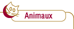 Animaux : paillage des litires